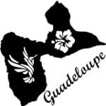 Guide d'achat : Les meilleures pièces auto en Guadeloupe pour votre véhicule