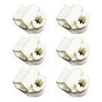 Comparaison des meilleurs produits et pièces détachées pour véhicules : Tout ce que vous devez savoir sur le Bora V6